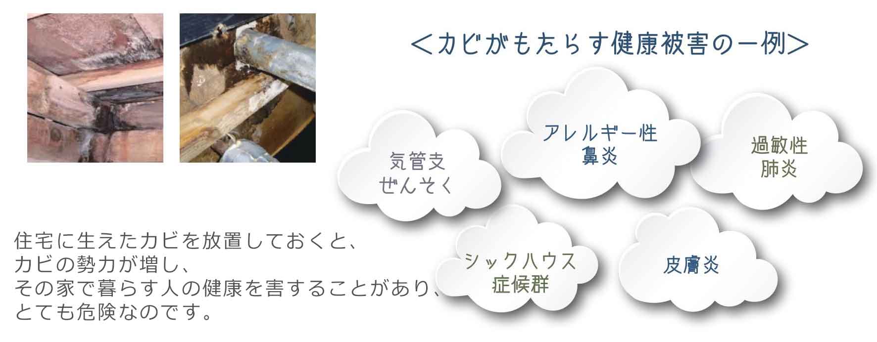 住宅に生えたカビを放置しておくと、カビの勢力が増し、その家で暮らす人の健康を害することがあり、とても危険なのです。